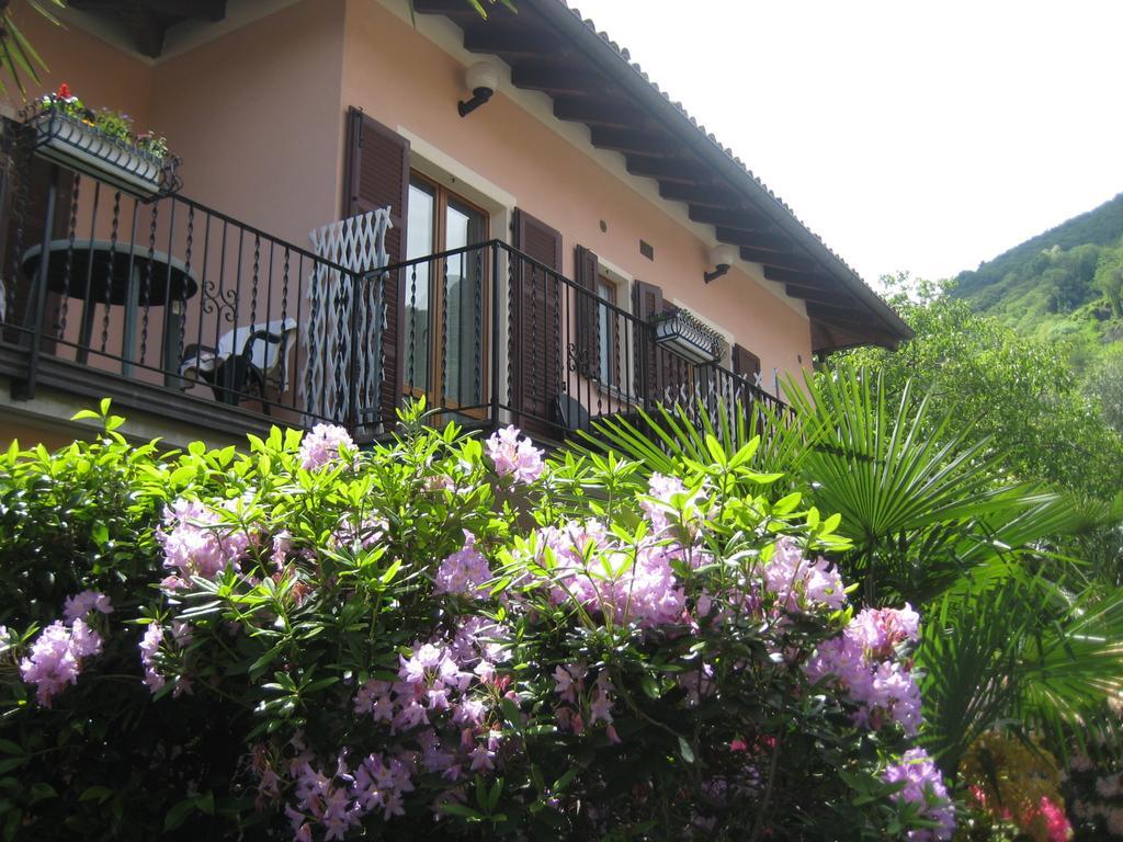 Villa Margherita Lake Maggiore Εξωτερικό φωτογραφία