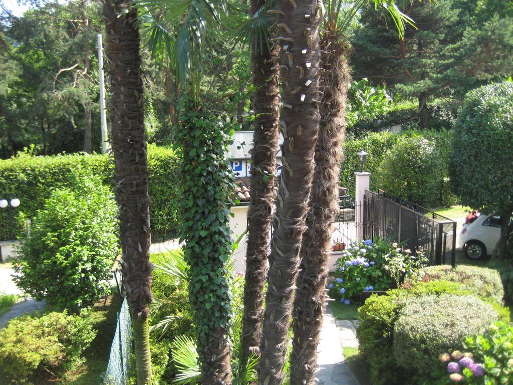 Villa Margherita Lake Maggiore Εξωτερικό φωτογραφία